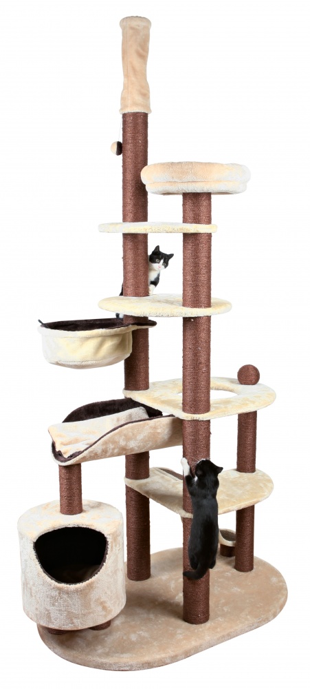 arbre a chat qui bouge